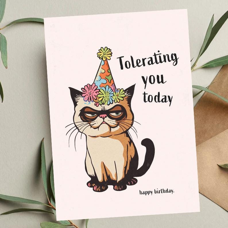 Funny Cat Birthday Card: Sarcastic "Tolerating You Today" Animal Pun